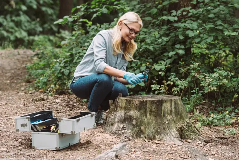 An ecologist examining a tree stump with a hand lens