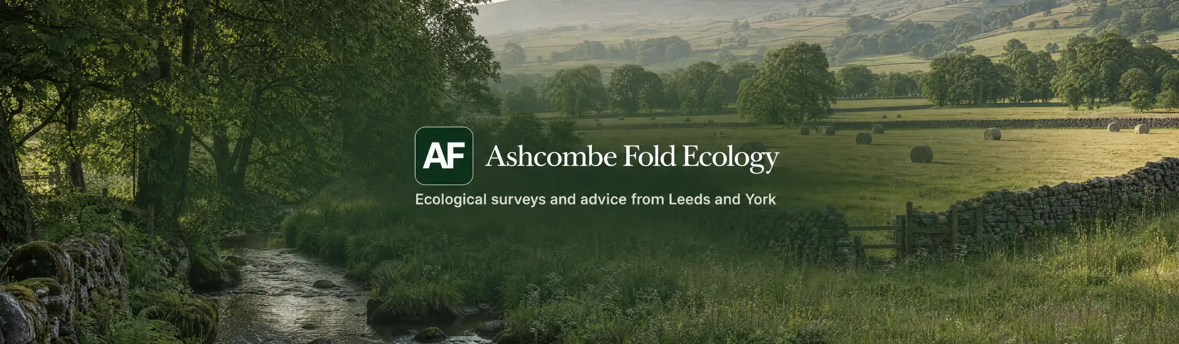 Ashcombe Fold Ecology banner: Yorkshire Dales woodland edge and hay meadow