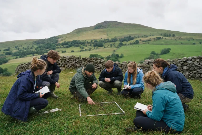 Students recording data inside a quadrat on a field course