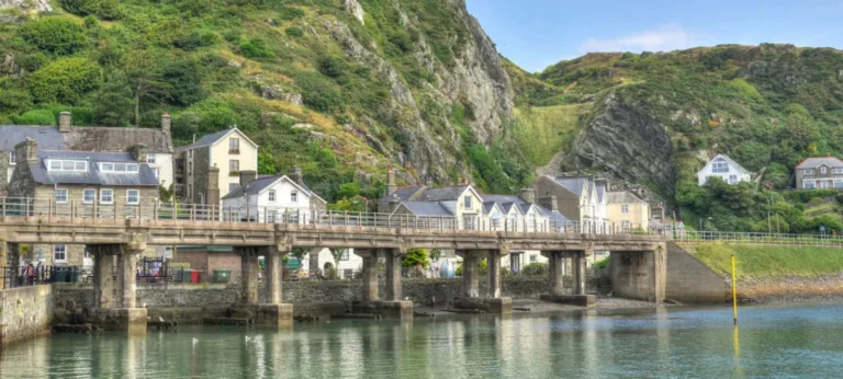 Barmouth Viaduct and cliffs at Viaduct Gardens