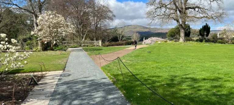 Path and lawns at Bodnant Gardens