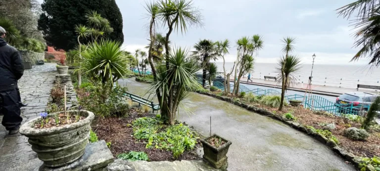 Palms and planting at the Italian Gardens, Penarth